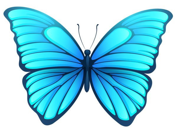 Butterfly Logo png download - 2953*2953 - Free Transparent Butterfly png  Download. - CleanPNG / KissPNG