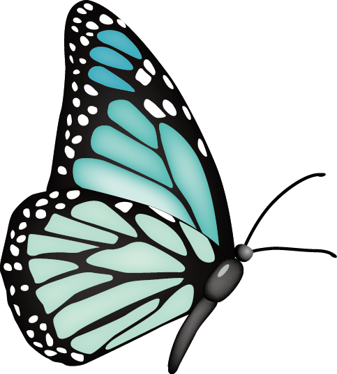 ᐅ143+ Butterfly Png, Butterflies Transparent Png Images