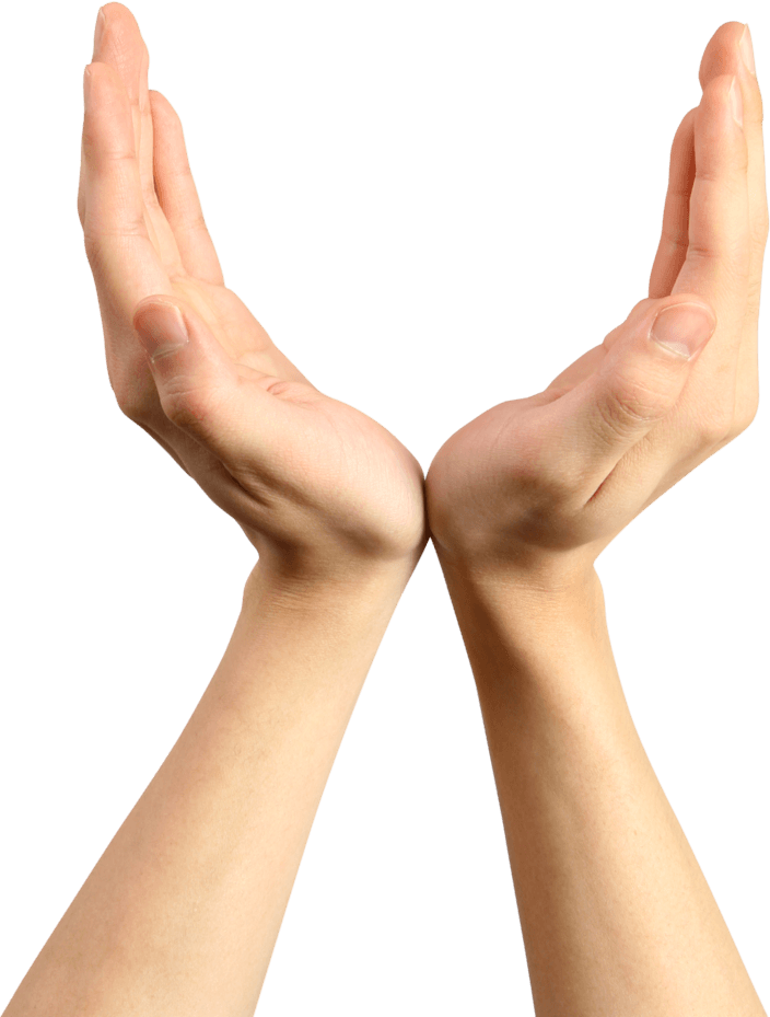 Transparent Anime Hand Png - Holding Hands Up Meme, Png Download