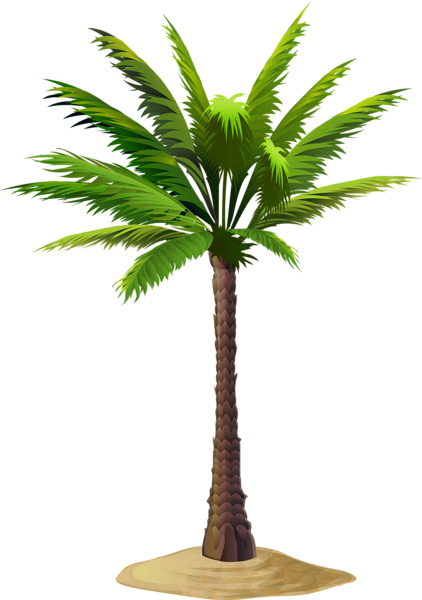 Palm Tree PNG Images, Download 12000+ Palm Tree PNG Resources with  Transparent Background