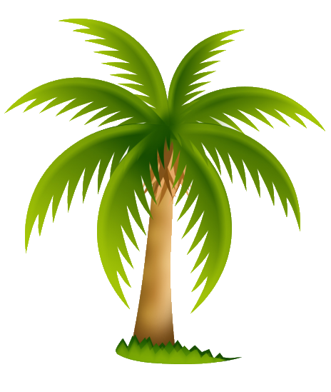 ᐅ143+ Palm Tree Png, Palm Tree Png Transparent