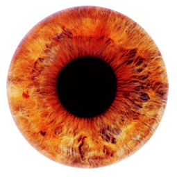 ᐅ143+ Eye Png, Eye Png Transparent Background